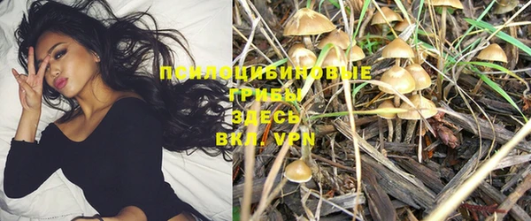ПСИЛОЦИБИНОВЫЕ ГРИБЫ Красноперекопск