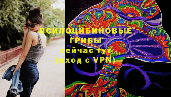 ПСИЛОЦИБИНОВЫЕ ГРИБЫ Красноперекопск
