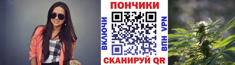 omg ССЫЛКА Снежногорск Бошки Шишки планчик